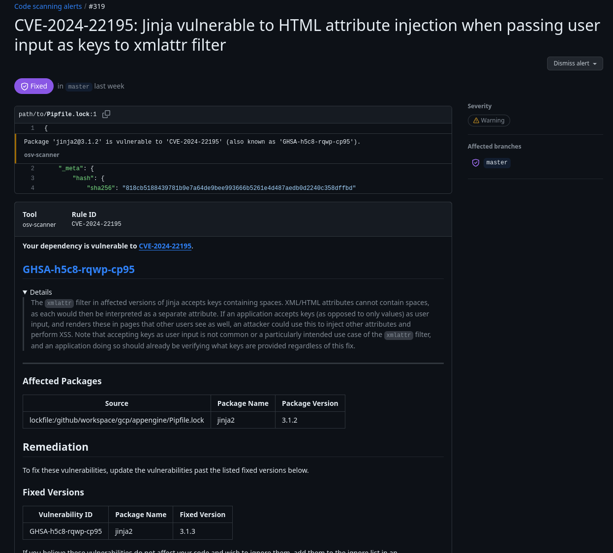 Image of details of specific in code scanning entry